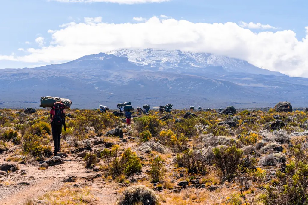 Trek Mt Kilimanjaro by Rongai Route