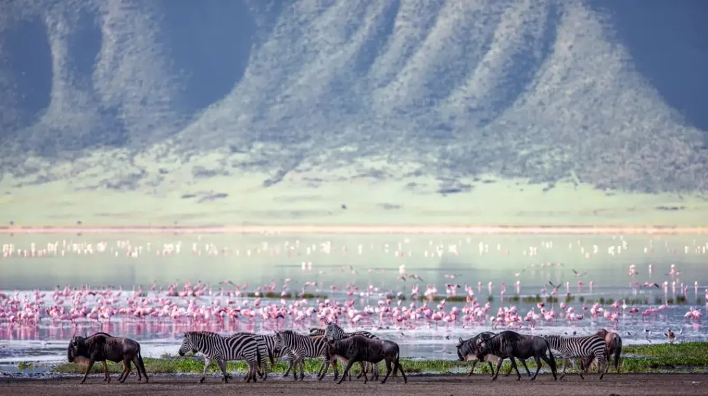 Great Migration Safari during Calving (Jan-Mar)