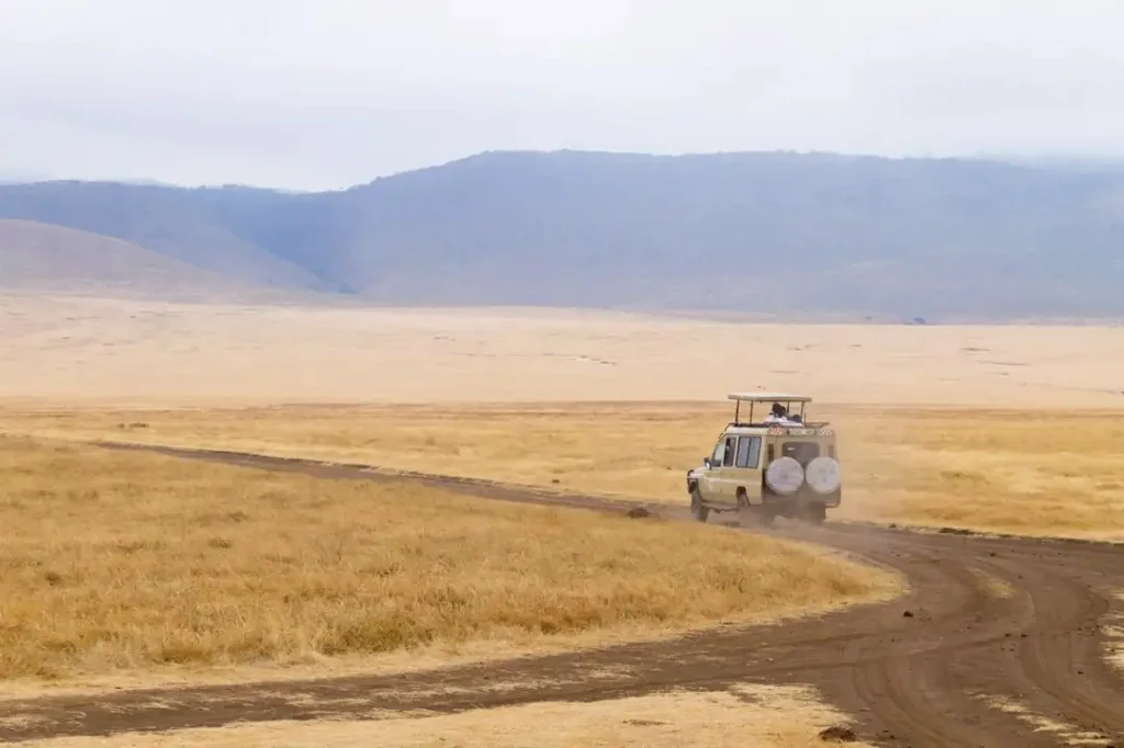 Great Migration Safari in Easter Carnage (Apr-Jun)